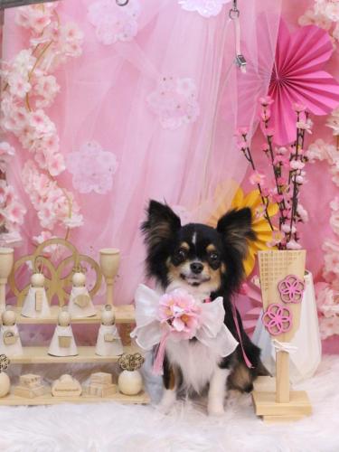 20250304天ちゃん